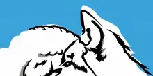 Gran Paradiso Film Festival, 'Dominio e coesistenza' il tema del 2026