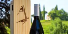 In Fvg si produce il vino 'Laudato Sie' per il Vaticano con finalit&agrave; sociali