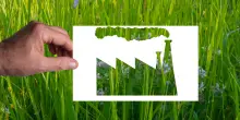 Giornata dell'ambiente, 7 domande per capire cosa &egrave; il greenwashing