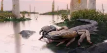 Lungo un metro lo scorpione fossile pi&ugrave; grande