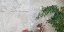 'Rubata la lapide di Proietti al Verano', ma era un falso allarme