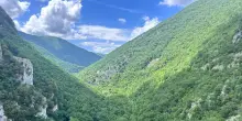 L'Italia &egrave; diventata una nazione forestale, superati i 100mila km quadrati