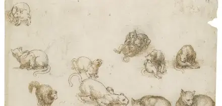 I manoscritti di Leonardo da Vinci riuniti grazie a una piattaforma digitale