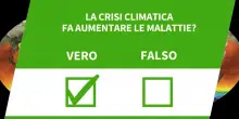 E' vero che la crisi climatica fa aumentare le malattie?