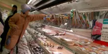 Torna negli Usa il parassita che si nutre di carne, rischio nuovi rincari