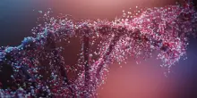 Individuate 74 varianti genetiche legate all'ansia, 39 sono nuove
