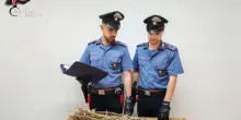 Coltivazione di papavero da oppio in zona interdetta della frana di Niscemi