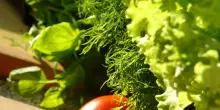 Caldo: Unaproa, sotto pressione produzioni della quarta gamma e approvvigionamenti
