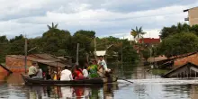 Giaguaro torturato e ucciso, un arresto per biocidio in Bolivia