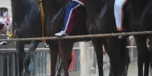 Palio di Siena, vince contrada Aquila, non accadeva dal 1992