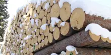 Aiel e Uncem, 'incentivi anche per le caldaie a legna e pellet'