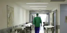Caso di Dengue sospetto a Prato, pu&ograve; essere il terzo in Toscana