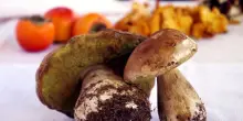 Al Nord i primi porcini dopo la siccit&agrave;, al via raccolta estiva dei funghi spontanei