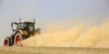 Agea, quasi 600 milioni di anticipi gi&agrave; erogati agli agricoltori