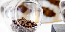 Caff&egrave; Gilli &egrave; il "Bar dell'Anno" nella nuova guida del Gambero Rosso