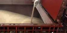 Marina ucraina, missili russi su una nave mercantile turca, 5 morti