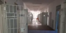 Osapp: 'Nel carcere di Siracusa cimici nei letti e topi nei corridoi'