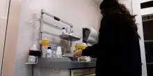 Lancia bicchiere addosso alla moglie e le recide l'arteria, arrestato