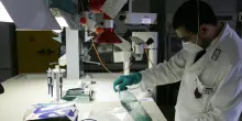 La giudice trovata morta, l'autopsia conferma lo strangolamento