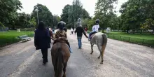 Cade da cavallo e finisce in un burrone, muore uomo nel Vicentino