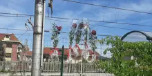 Strage di Brandizzo, Fillea e Filt Cgil si costituiranno parte civile