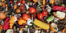 In Italia si spreca cibo per 13,5 miliardi di euro, oltre la met&agrave; nelle case