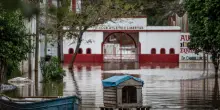 A rischio bestiame e coltivazioni in Paraguay ed Argentina per il Super Ni&ntilde;o