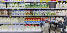 Il Pil a +0,2% nel secondo trimestre. Aumenta la pressione fiscale, cala il potere d'acquisto