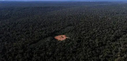 Media, 'il voto in Brasile pu&ograve; portare il 95% dell'Amazzonia ai governi di destra'