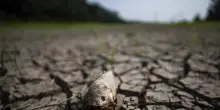 Brasile, El Nino divide il Paese tra piogge record e forte siccit&agrave;