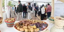 Terra Madre, otto storie dal mondo per dare un volto alla biodiversit&agrave;