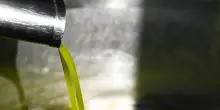 La Pietra, pronti a misure ad hoc su liquidit&agrave; e tracciabilit&agrave; olio
