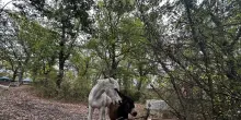 Famiglia nel bosco, processo disciplinare per l'assistente sociale