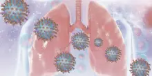 Il virus sinciziale causa 26mila ricoveri l'anno e 1.800 decessi, ma resta quasi sconosciuto
