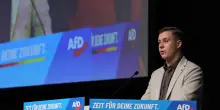 Polemiche per l'intervento del leader dei giovani dell' Afd in Alto Adige