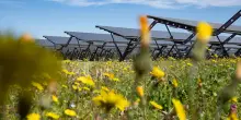 Consulta, legittimo il divieto per il fotovoltaico a terra in zone agricole