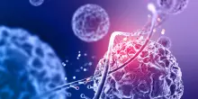 Dna e tumori, dalla fisica la chiave per capire il loro legame