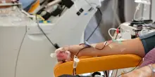 Allarme carenza di sangue, manca soprattutto il gruppo 0+