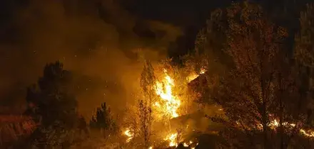 Bosco in fiamme in Spagna, almeno 12 morti