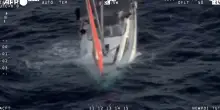 Un capodoglio affonda uno yacht, salvati quattro marinai