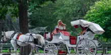Addio alle carrozzelle di Central Park, messe al bando dopo 150 anni