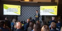 Dal 2011 al 2024 espatriato il 6% dei giovani italiani