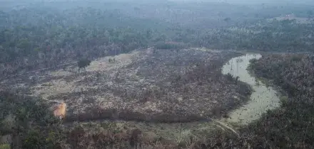 Brasile, deforestazione in Amazzonia ai minimi dal 1988