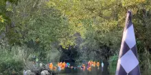 >ANSA-LA-STORIA/ In Abruzzo l'inusuale mondiale di papere galleggianti
