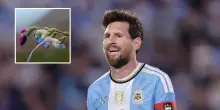 L'omaggio speciale a Messi, anche una pianta porta il suo nome