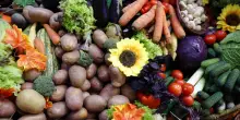 Ottobre al mercato,clima stabilizza prezzi di frutta e verdura, arrivano le castagne