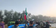 Lollobrigida, nel dl 60 milioni per il carburante agricolo, a brevissimo a imprese
