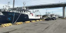 Pescherecci fermi a Pescara, 'pronti a scioperi pi&ugrave; importanti'