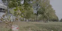 Accoltellato e ucciso in un parco a Torino, fermato il presunto assassino