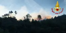 Incendio boschivo a Genova Pra', evacuate numerose abitazioni